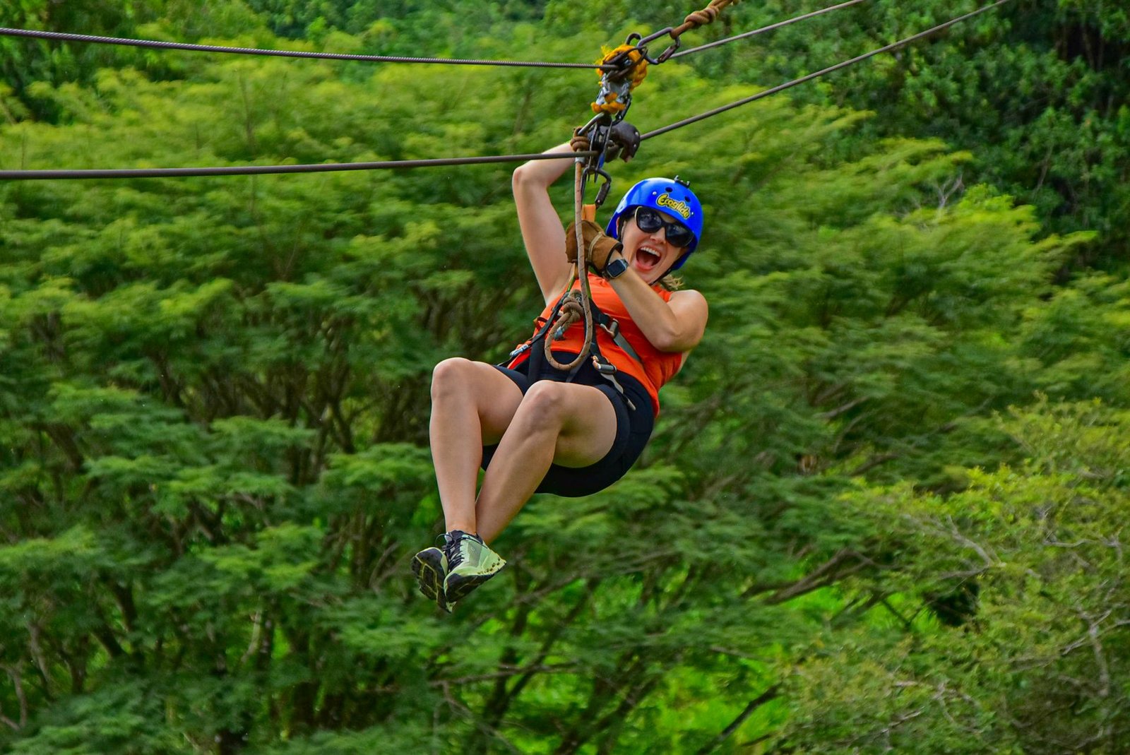 Canopy Tour Without Tarzan Swing