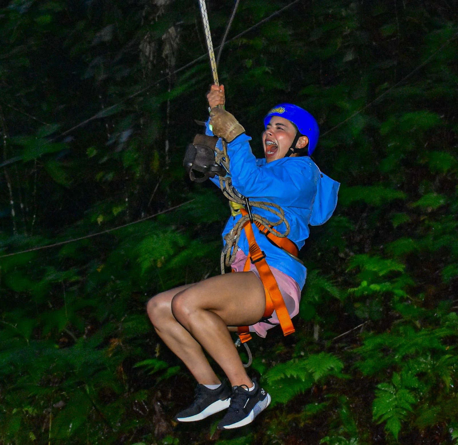Night Walk + Canopy + Tarzan Swing